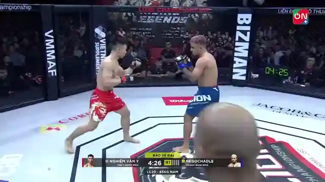 Võ thuật đối kháng đỉnh cao